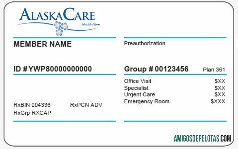 Cartão de seguro saúde do Alasca amostra